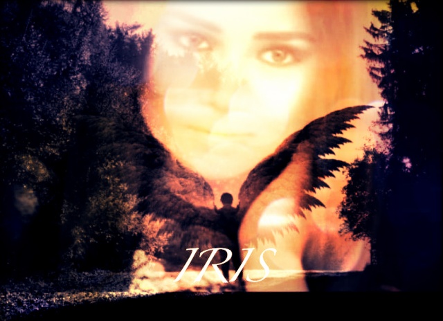 iris_2